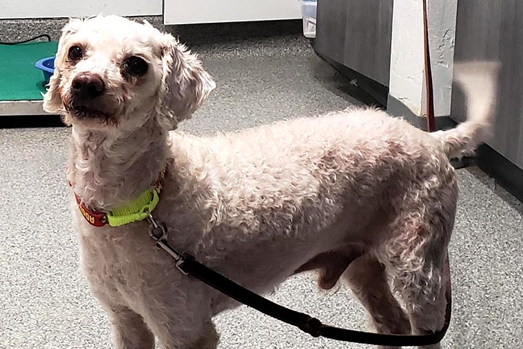 Jagger and Kristi's Kritters Meet Holden Magic 92.5